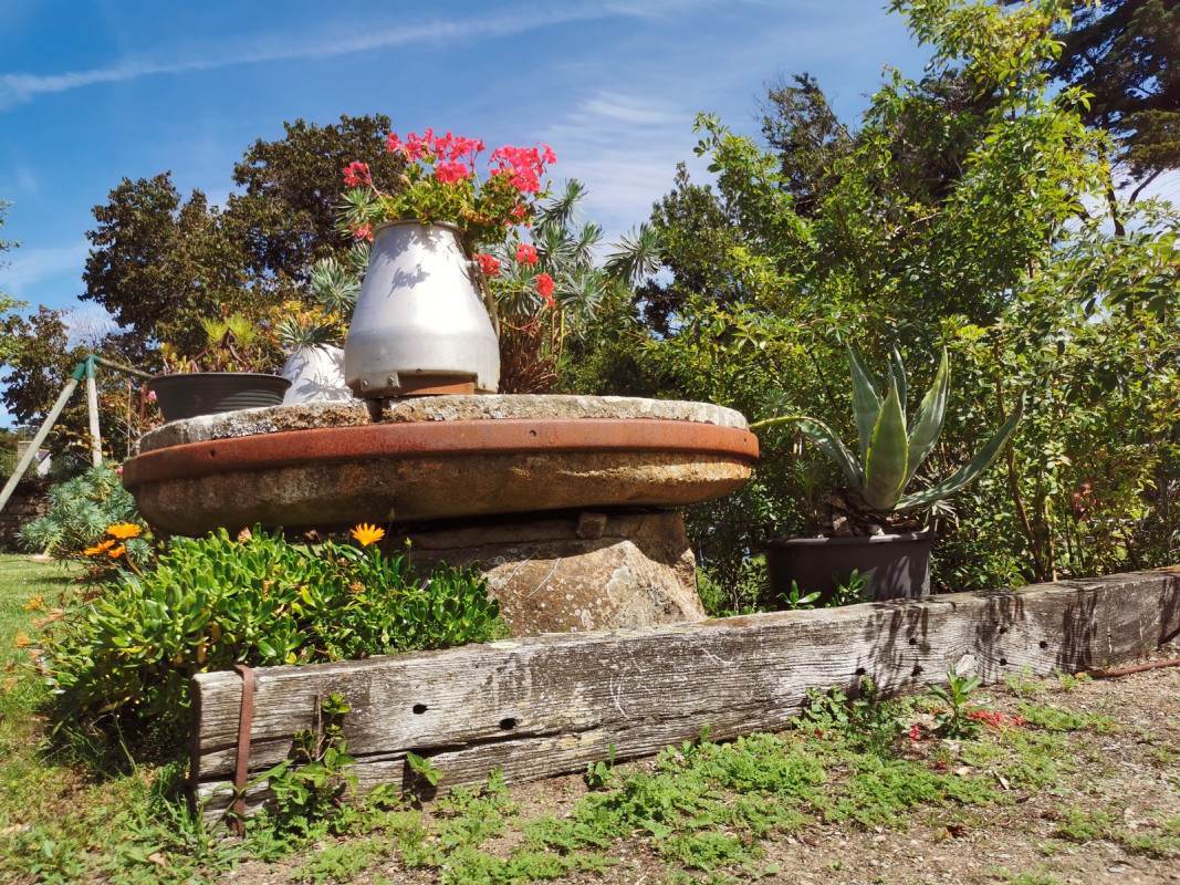 Jardin arrière